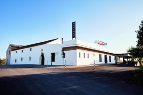 Hotels in San José Del Valle